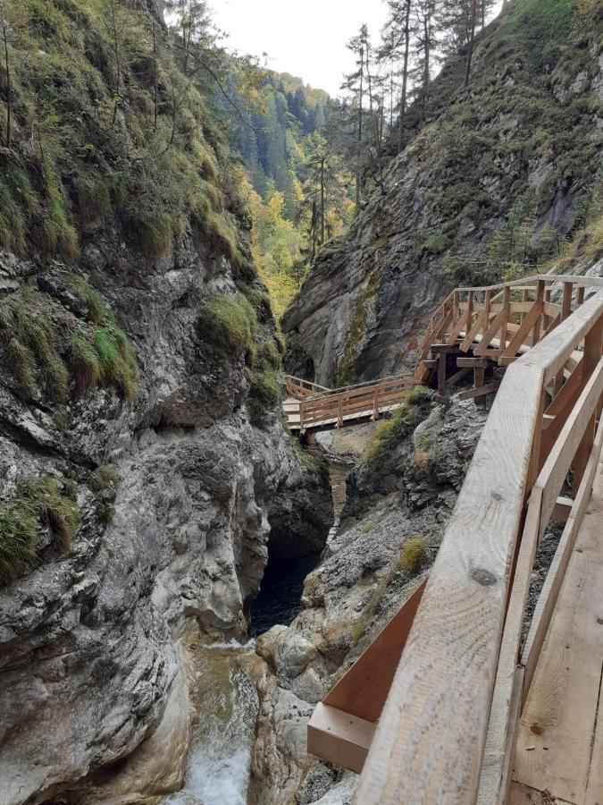 Steinerhaus Berggasthof Grobming Eksteriør billede