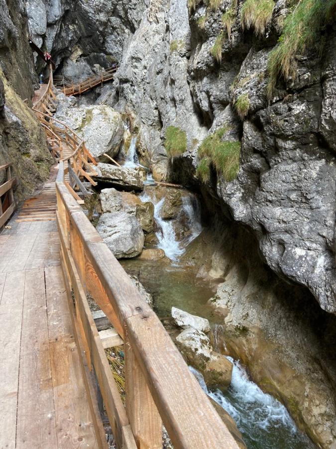 Steinerhaus Berggasthof Grobming Eksteriør billede